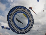 Kite2.jpg