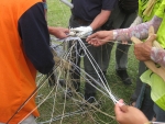 Line Tangle.jpg