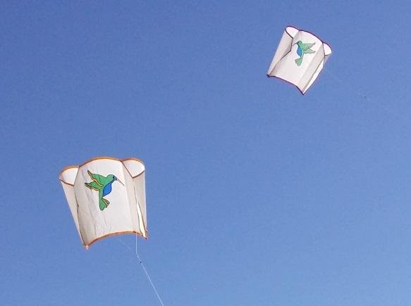 Kelli And The Hummingbird – San Diego Kite Club